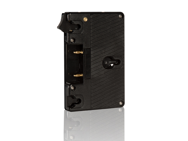 Shape GOLD MOUNT LOCK PLATE