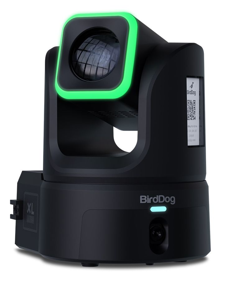 BirdDog XL Ultra - Black