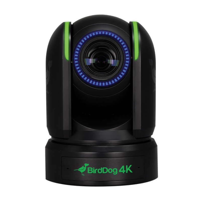 BirdDog P4K Black. 4K 10-Bit Full NDI PTZ, 
