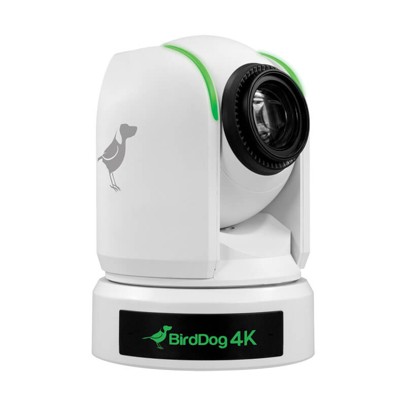 BirdDog P4K White. 4K 10-Bit Full NDI PTZ, 